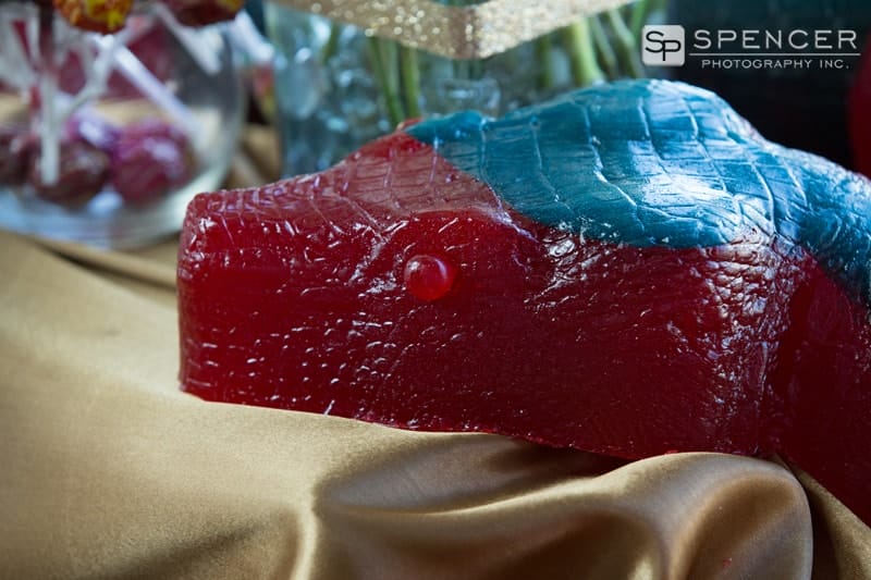 giant snake gummie